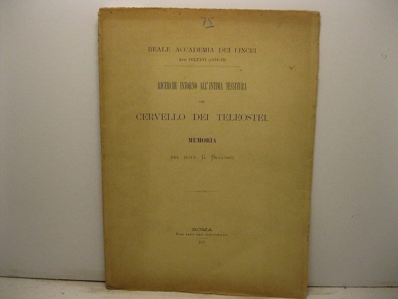 Ricerche intorno all'intima tessitura del cervello dei teleostei